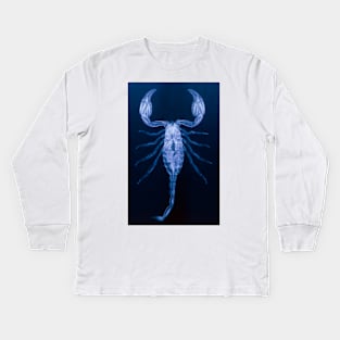 X-ray of the scorpion, Palamnaeus fulvipes (Z420/0010) Kids Long Sleeve T-Shirt